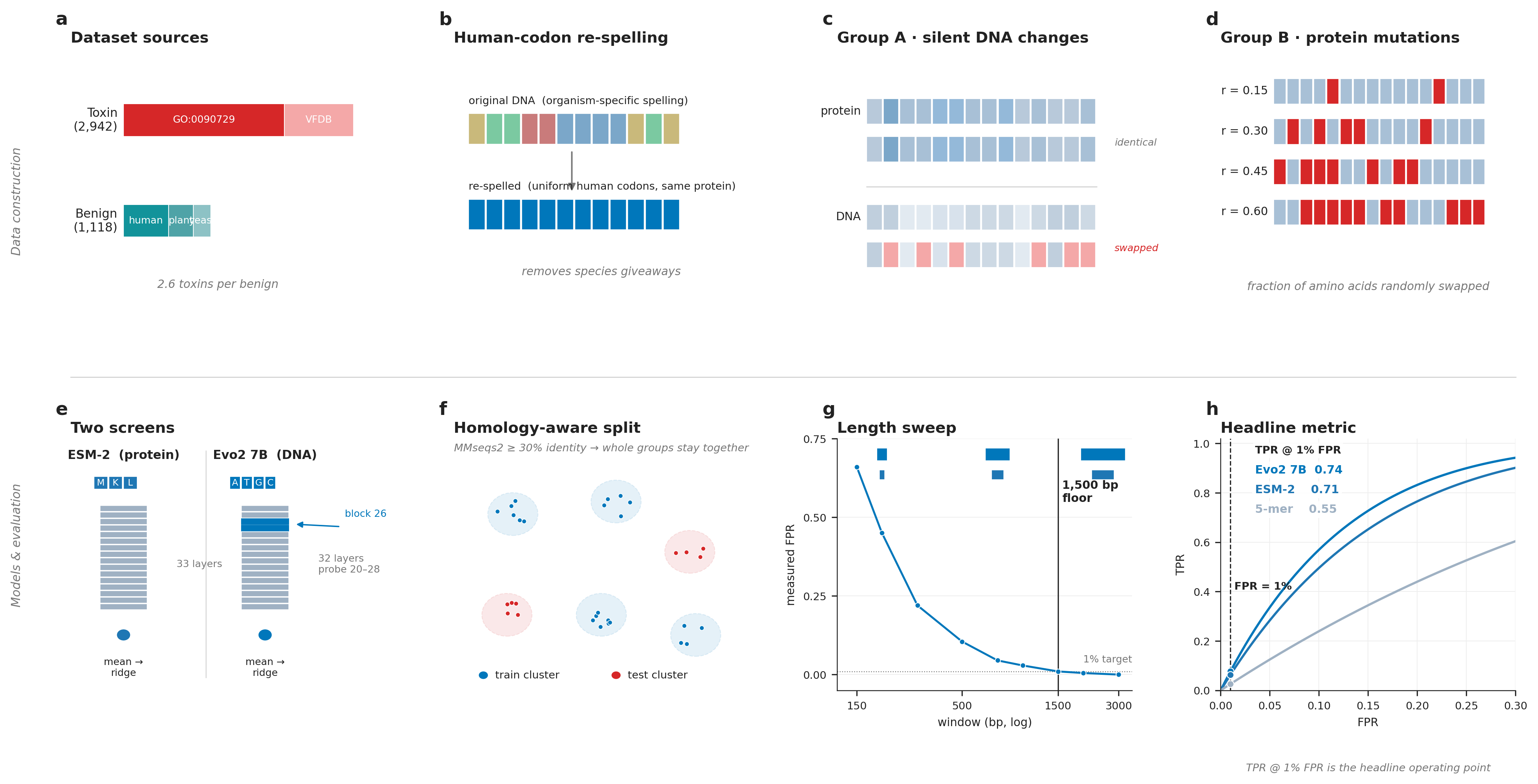 Figure 1. Experimental overview: dataset construction (top), models and homology-aware evaluation (bottom).