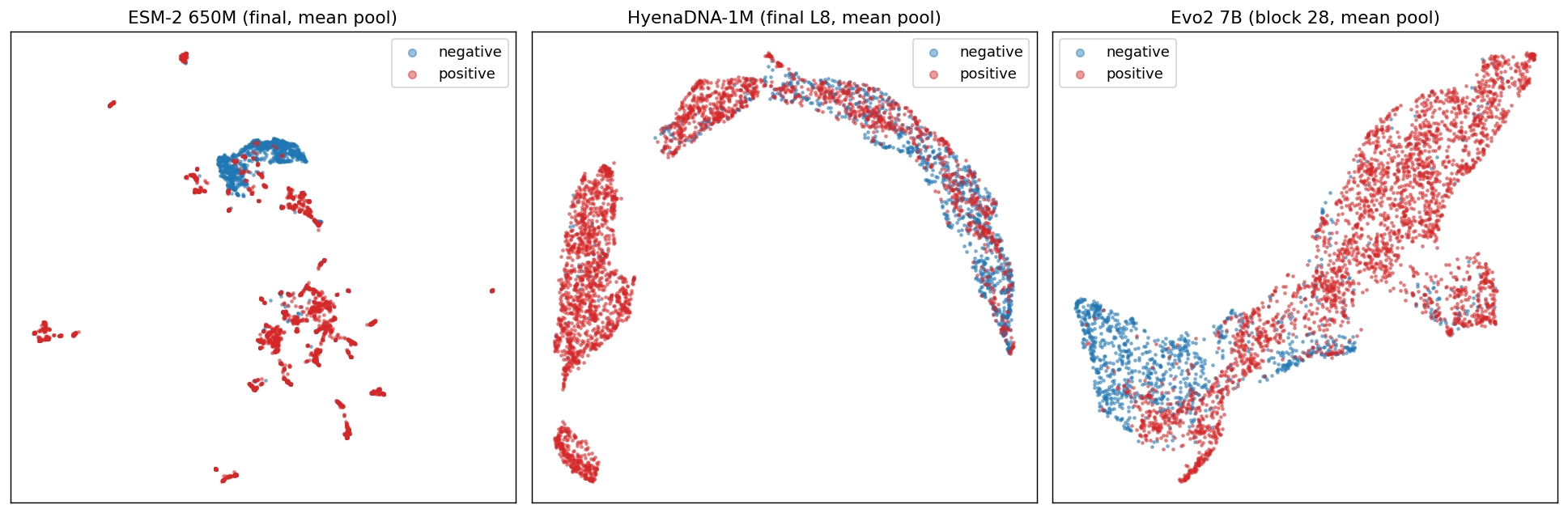 Figure 3. UMAP of model embeddings (red = toxin, blue = benign).